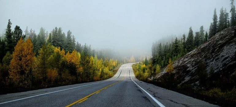 A road dissapearing in fog