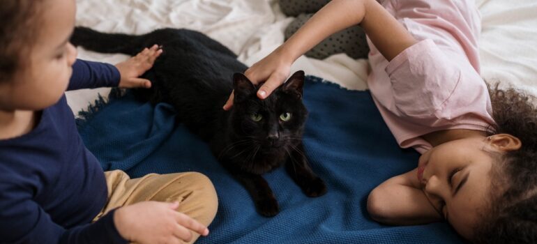 girl and a boy on the bed with black cat