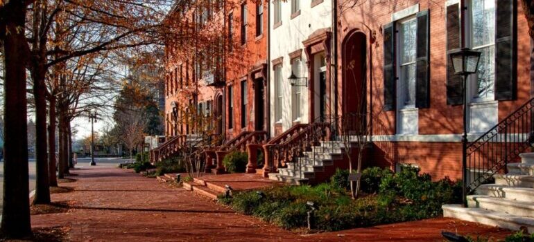 Street in Washington DC in autumn