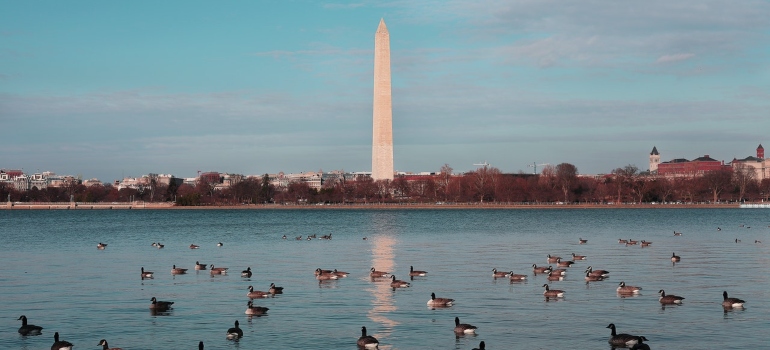 A photo of Washington DC
