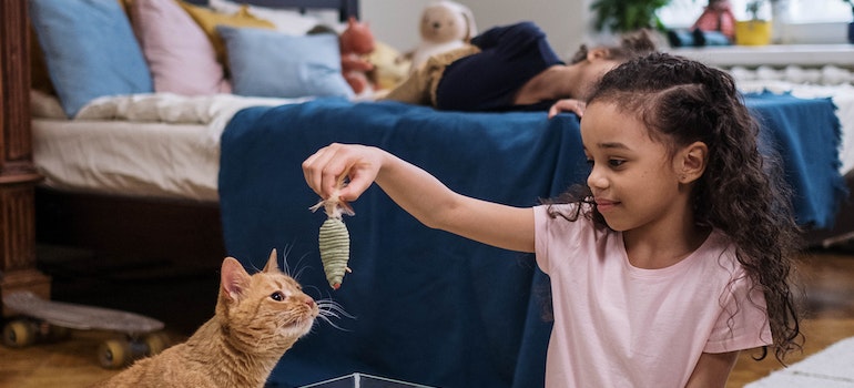 A girl playing with a cat 