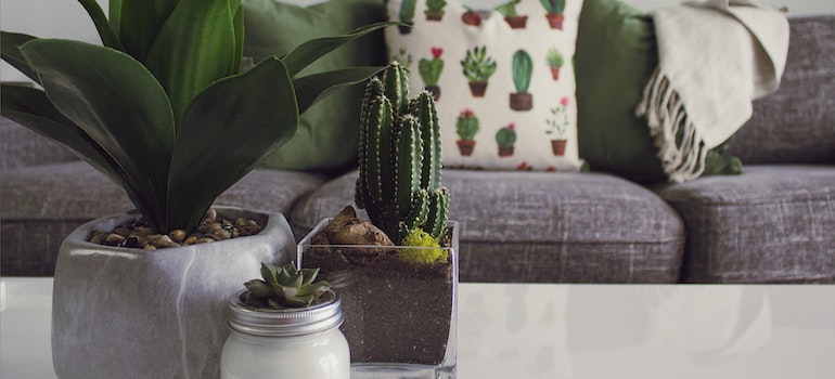 Plants on a table and a decorated pillow
