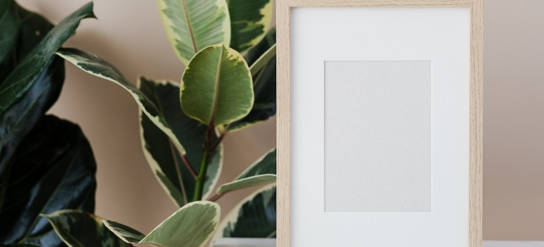 Picture of a framed picture next to a variegated rubber plant