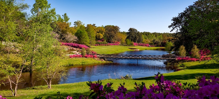 A serene park with a small lake in Bethesda