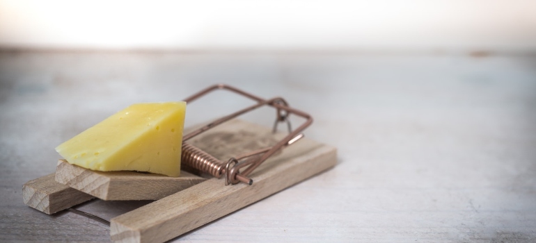 Picture of a mouse trap helping you to pest-proof your storage unit