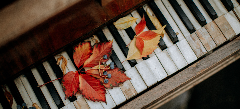 a damaged piano keyboard with leaves on it