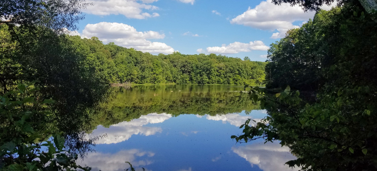 Burke Lake on a clear day