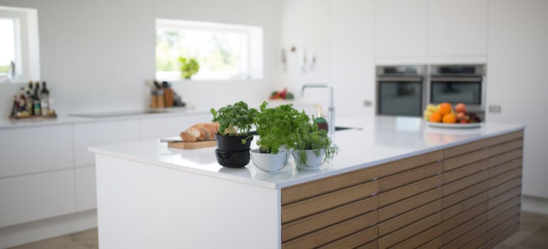 a kitchen with several potted plants on the countertop