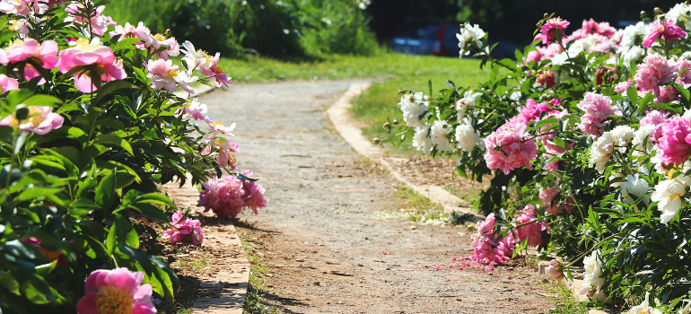 a beautiful road full of flowers in Seneca Creek State Park where you can spend a weekend in Maryland