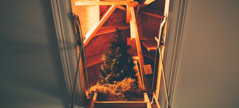 an attic, observed from the stairs below