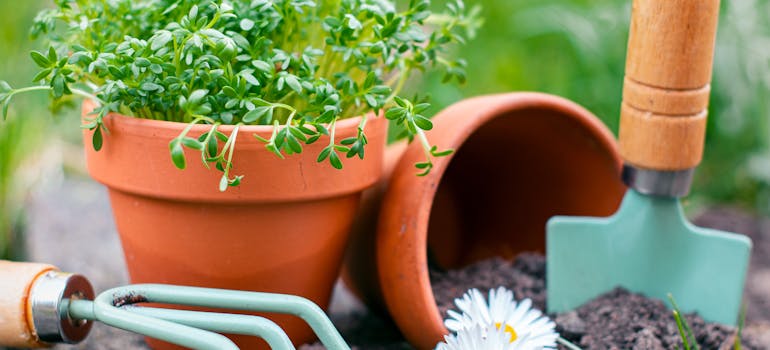 two pots and planting tools you will need if you want to prepare your yard for the summer