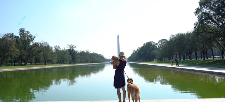 a woman walking a dog near a body of water and thinking about the common misconceptions about living in Washington DC