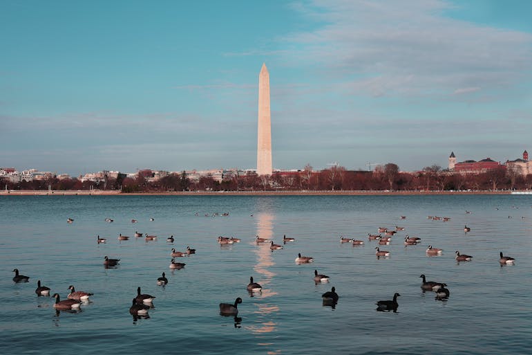 Washington Monument