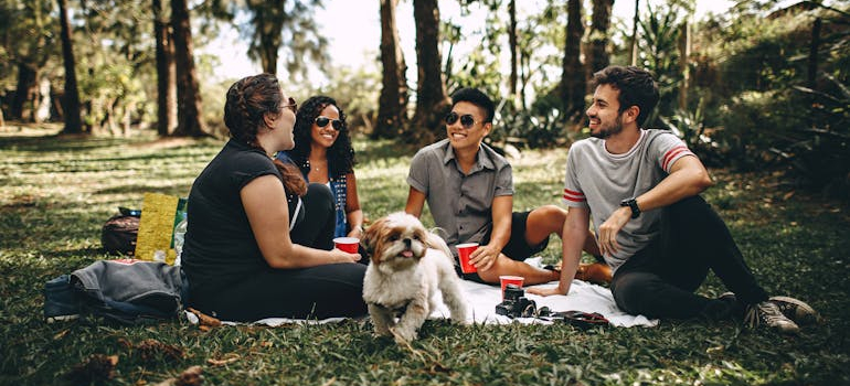 a group of friends having a picnic