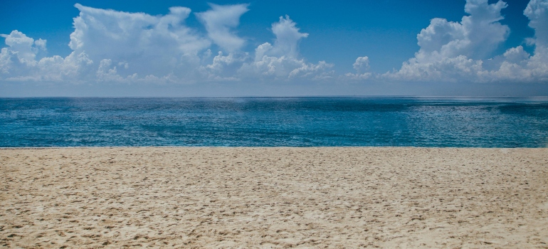 Ocean View during Daylight