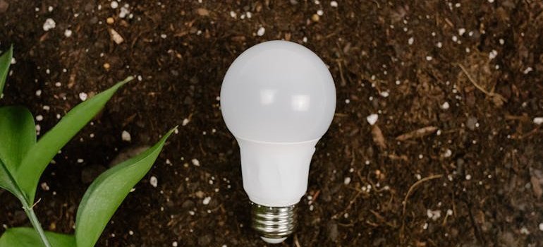 a lightbulb on the ground
