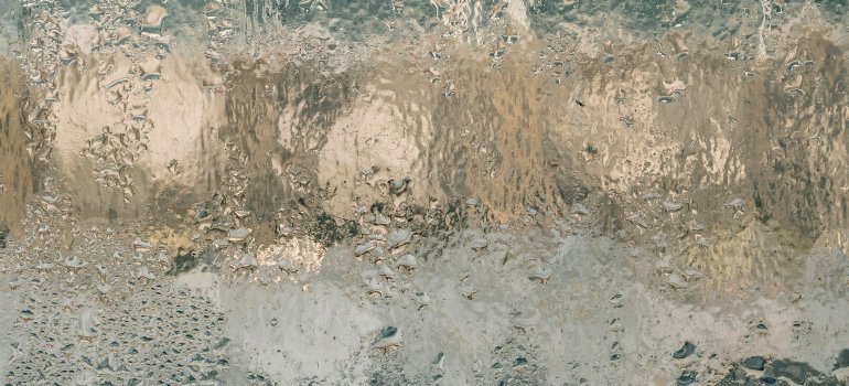 Condensation on a window