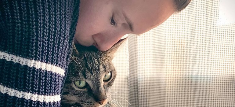 Person hugging a cat
