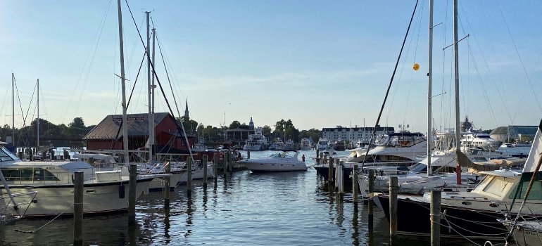 Dock in Annapolis