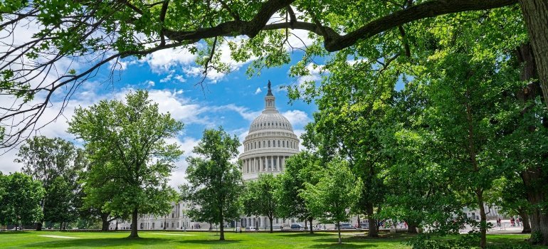 Capitol building behind trees