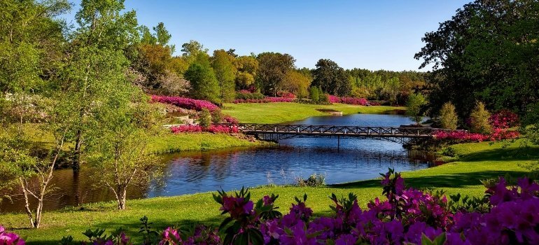 A lush park with a peaceful lake and vibrant flowers—showcasing the natural beauty of Living in Prince William County.