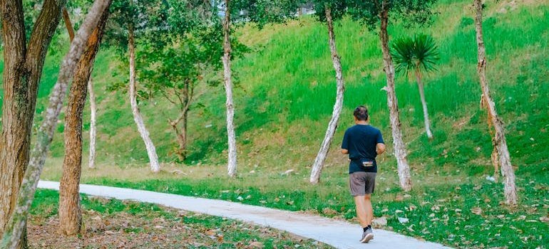 a person walking in the park