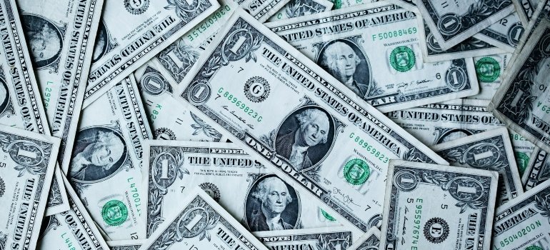 Dollar bills