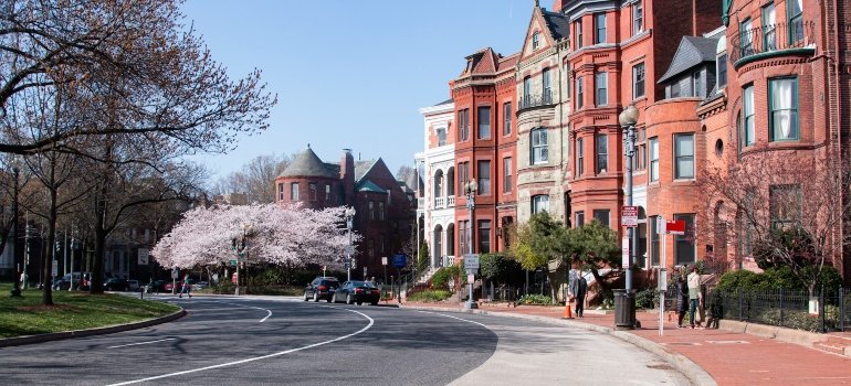 Beautiful buildings next to a street