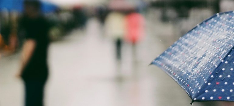 a picture of the rainy umbrella
