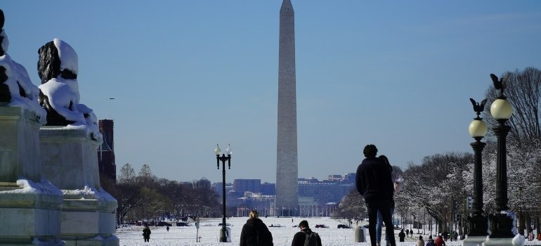 DC monument during the winter